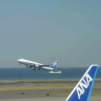 c0062361_22144282.gif