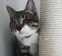 c0035001_23345641.jpg