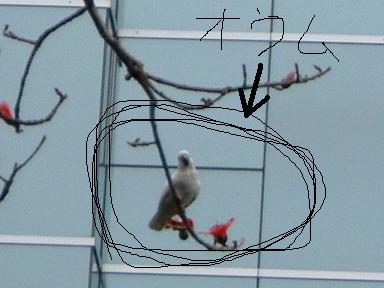 c0002615_111225.jpg