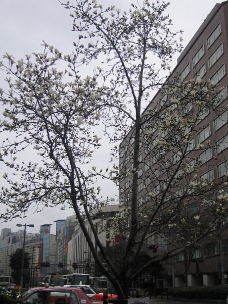 b0028845_18312472.jpg