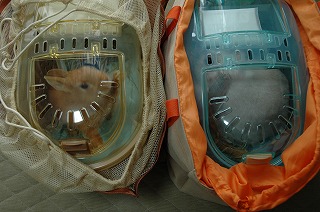 c0032257_1547681.jpg