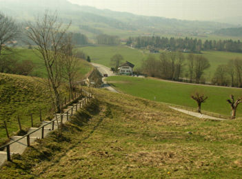 d0000760_353397.jpg