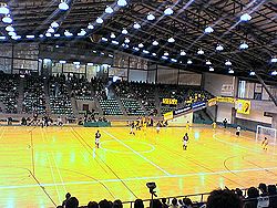 a0001561_10275996.jpg