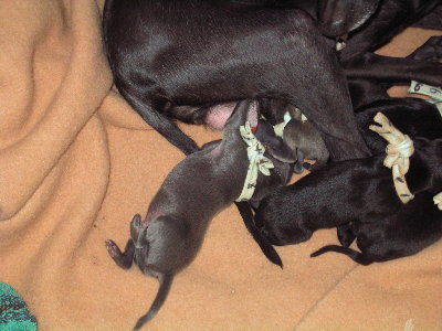 c0059066_0105475.jpg
