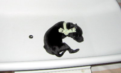 c0059066_010872.jpg