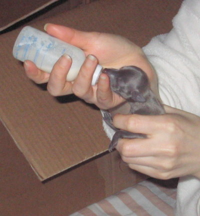 c0059066_084719.jpg