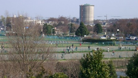 b0069169_0144080.jpg