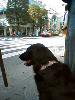 c0012120_222524.jpg