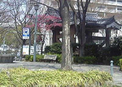 a0021421_14235692.jpg