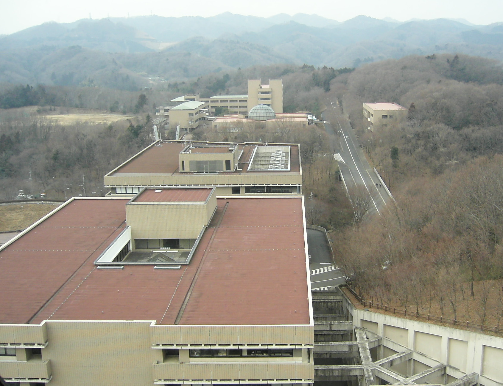 c0026846_1426669.jpg