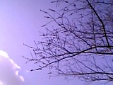 c0069552_10461742.jpg