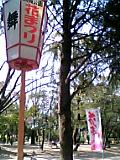 c0069552_10461881.jpg