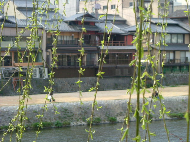b0055171_21463111.jpg