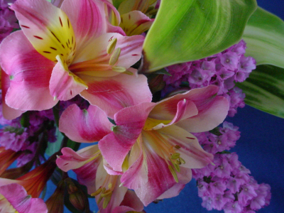 b0038008_719571.jpg