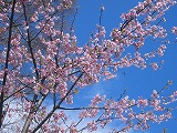 a0030823_19581330.jpg