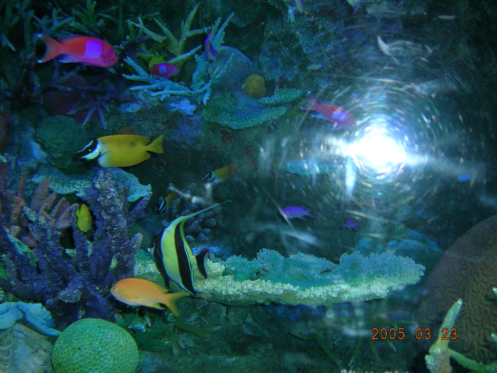 a0032232_11242085.jpg