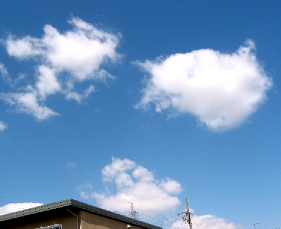 b0014336_13395493.jpg