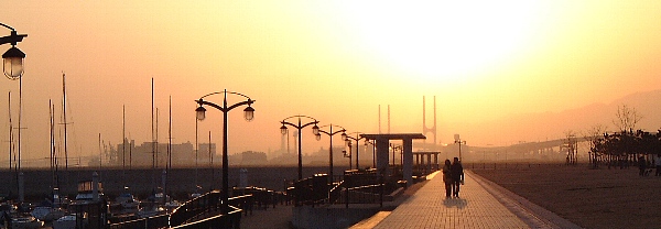 c0041039_9245653.jpg