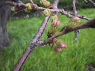 c0046340_21264882.jpg