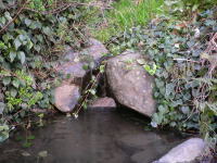 d0013645_1265241.jpg