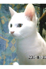 c0011446_2164379.jpg