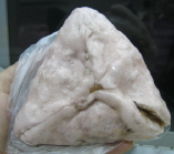 d0013150_221895.jpg