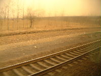d0002555_11235019.jpg