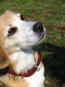 c0038983_18285831.jpg