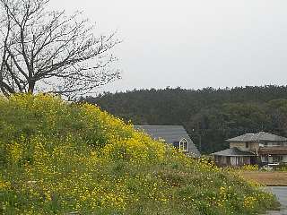 b0061107_20294853.jpg