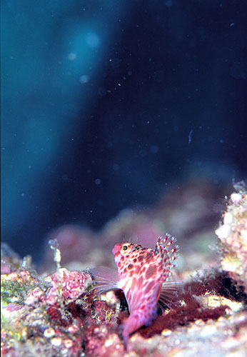 c0064907_16571446.jpg