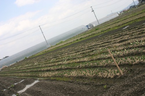 d0010607_18243483.jpg