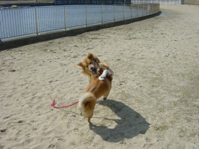 c0030624_2343579.jpg