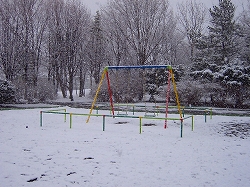 c0042941_23155752.jpg