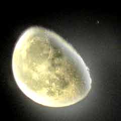 b0025745_19234141.jpg