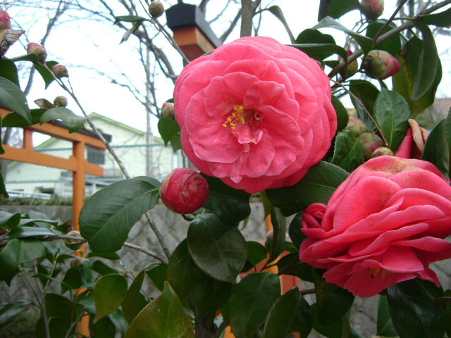 b0055171_12102669.jpg