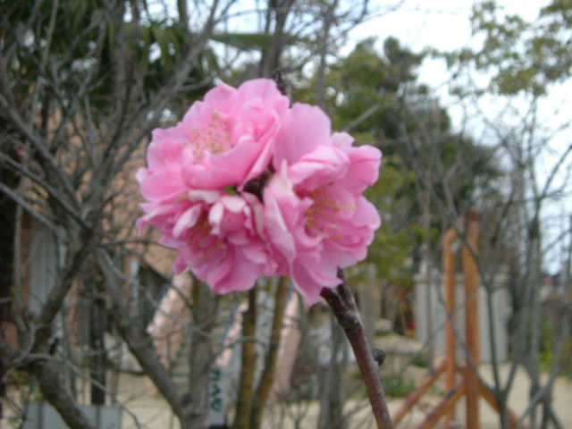 b0055171_1216238.jpg