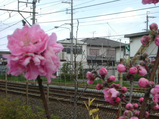 b0055171_12174061.jpg