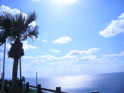 c0052689_0113259.jpg