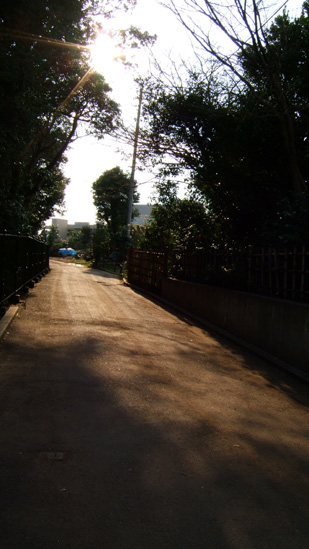 b0021397_0204627.jpg