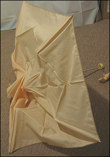 c0002300_21333620.jpg