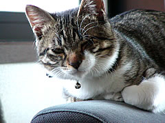 c0035001_14244650.jpg