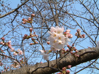 c0017311_8381327.jpg