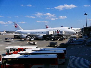 b0009029_1102464.jpg
