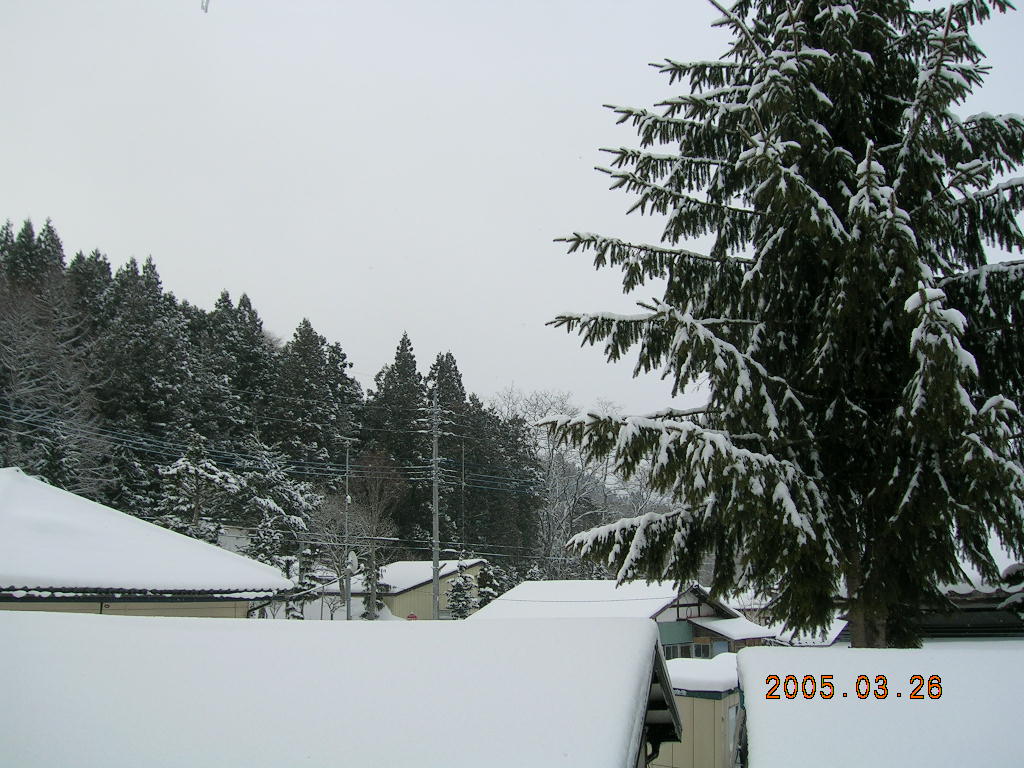 a0032232_9304057.jpg