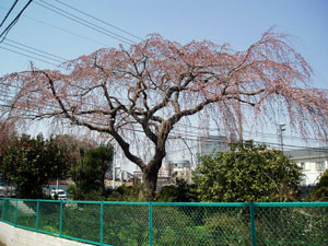 b0046234_2213058.jpg