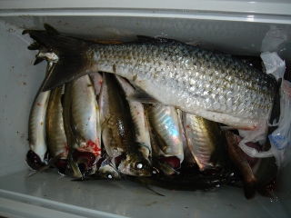 c0029442_293962.jpg