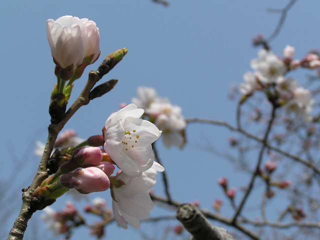 c0042869_2210822.jpg