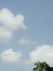 c0068090_15284352.jpg
