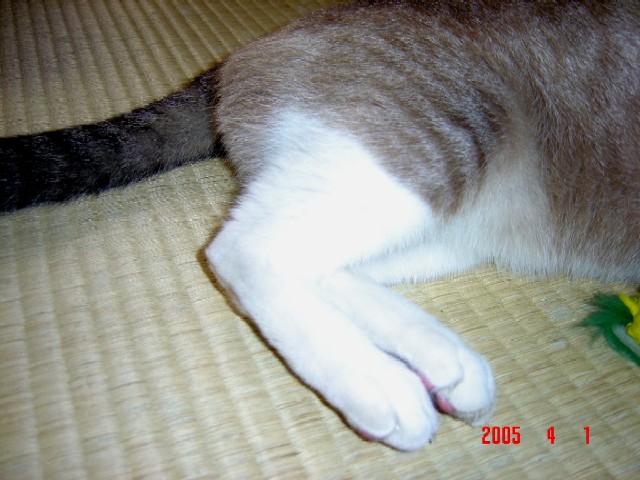 a0005691_1924750.jpg