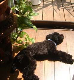 a0011999_19315444.jpg